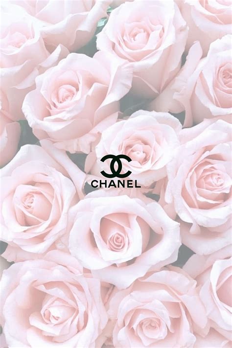 belles roses chanel fond d'écran|110+ Fonds d'écran Chanel HD .